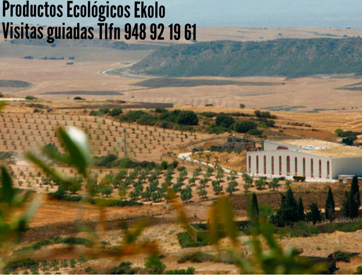 Villa Greta Etxea Arroniz Esterno foto