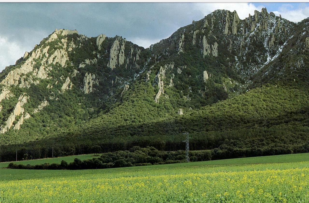 Villa Greta Etxea Arroniz Esterno foto
