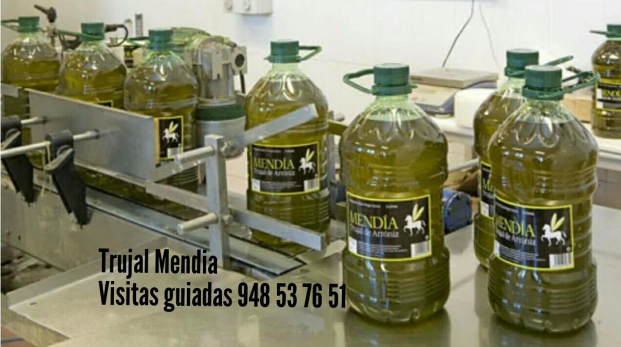 Villa Greta Etxea Arroniz Esterno foto