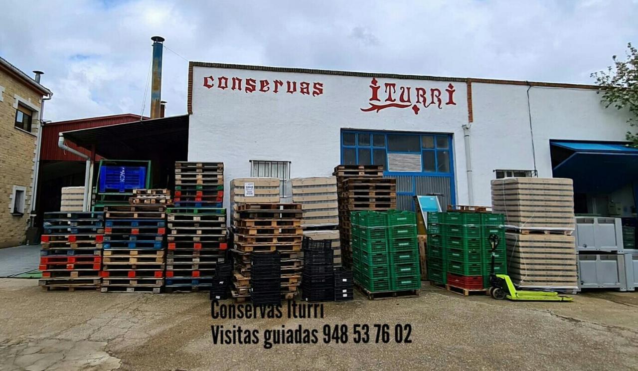 Villa Greta Etxea Arroniz Esterno foto